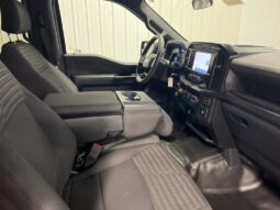 
 Ford F-150 full									