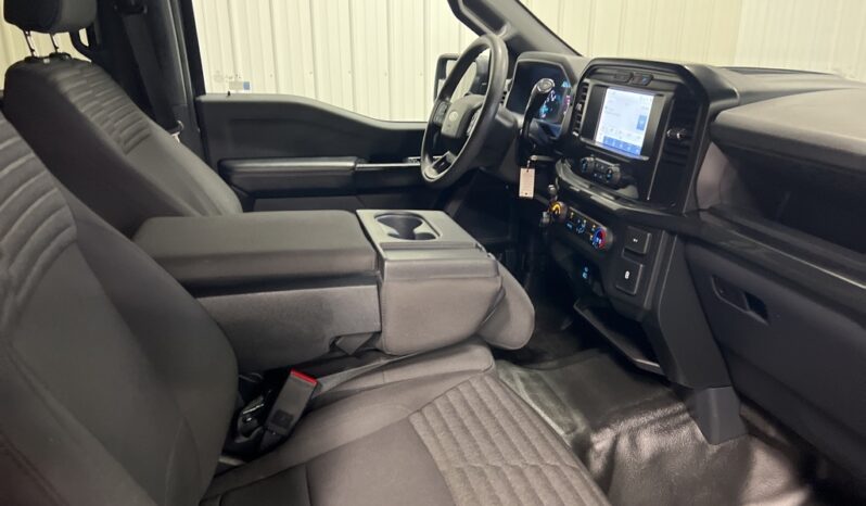 
 Ford F-150 full									