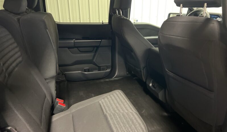 
 Ford F-150 full									