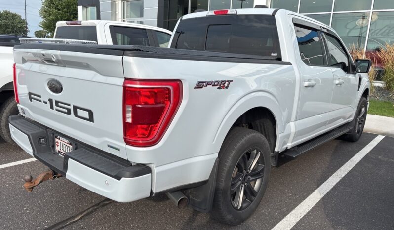 
 Ford F-150 full									