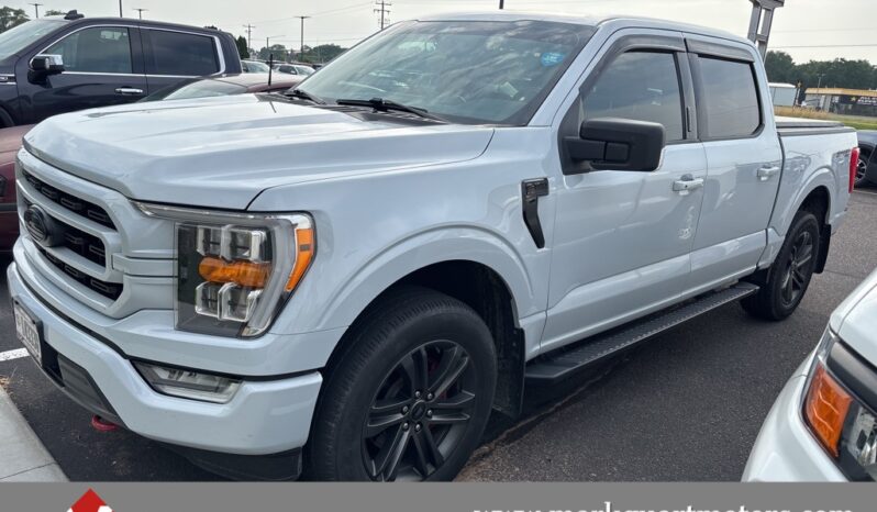 
 Ford F-150 full									