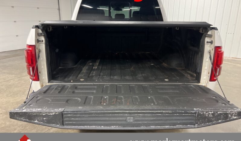 
 Ford F-150 full									