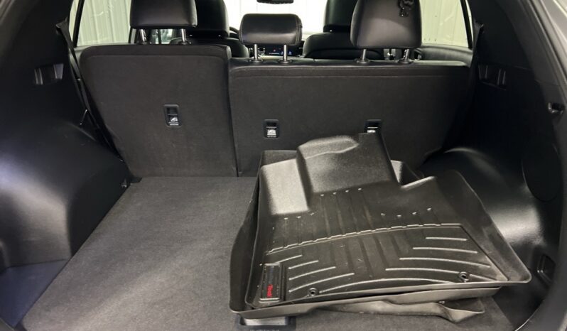 
 Kia Sportage full									