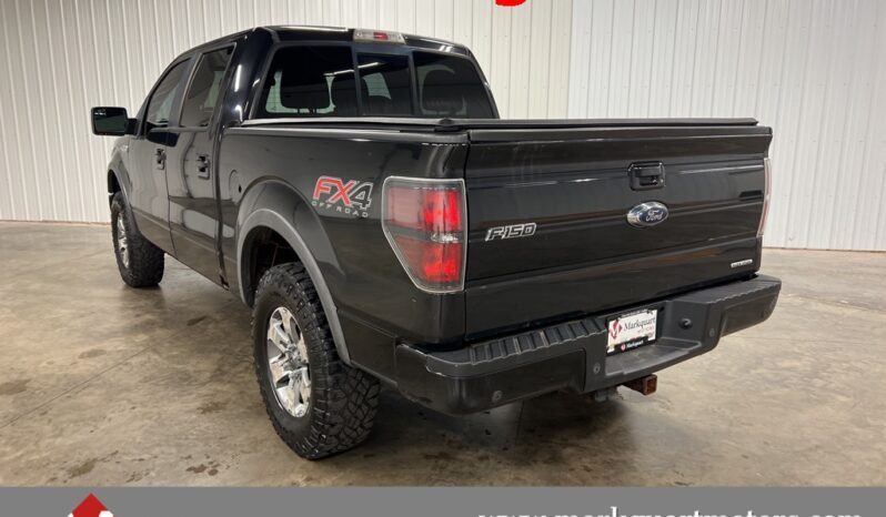 
 Ford F-150 full									