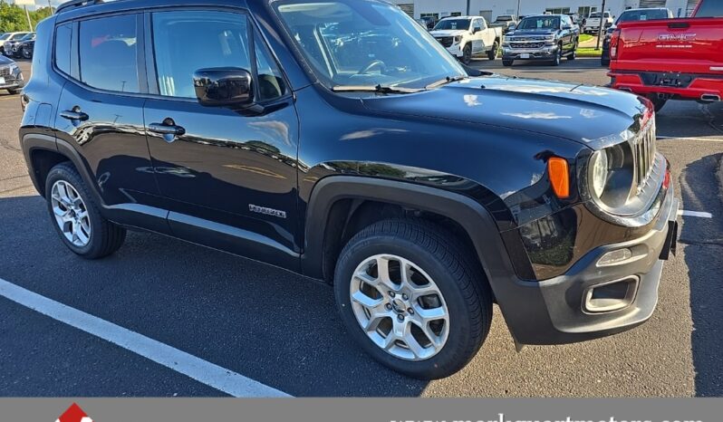 
 Jeep Renegade full									