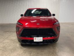 
 Buick Enclave full									