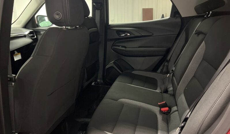 
 Chevrolet Trailblazer full									