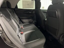 
 Chevrolet Trailblazer full									