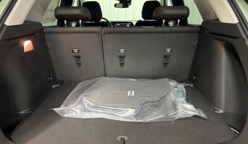 
 Chevrolet Trailblazer full									