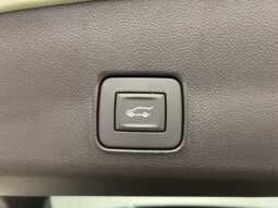 
 Chevrolet Trailblazer full									
