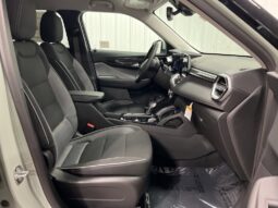 
 Chevrolet Trailblazer full									