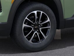 
 Chevrolet Trailblazer full									