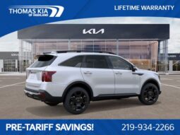 
 Kia Sorento full									