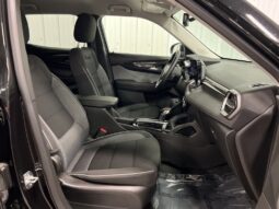 
 Chevrolet Trailblazer full									