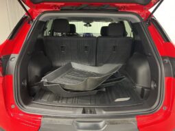 
 Chevrolet Blazer full									