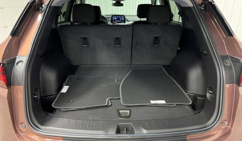 
 Chevrolet Blazer full									