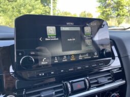 
 Nissan Pathfinder full									