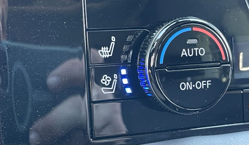 
 Nissan Pathfinder full									