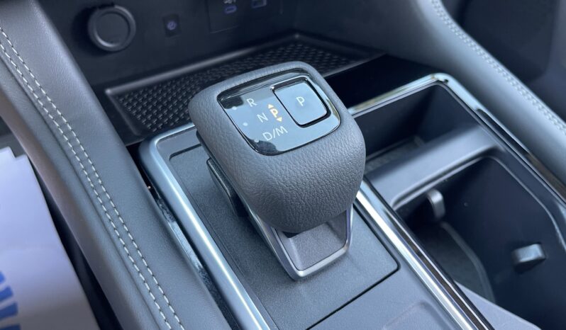 
 Nissan Pathfinder full									