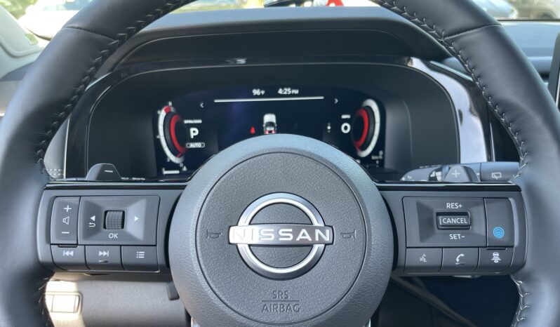 
 Nissan Pathfinder full									