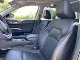 
 Nissan Pathfinder full									