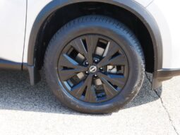 
 Nissan Rogue full									