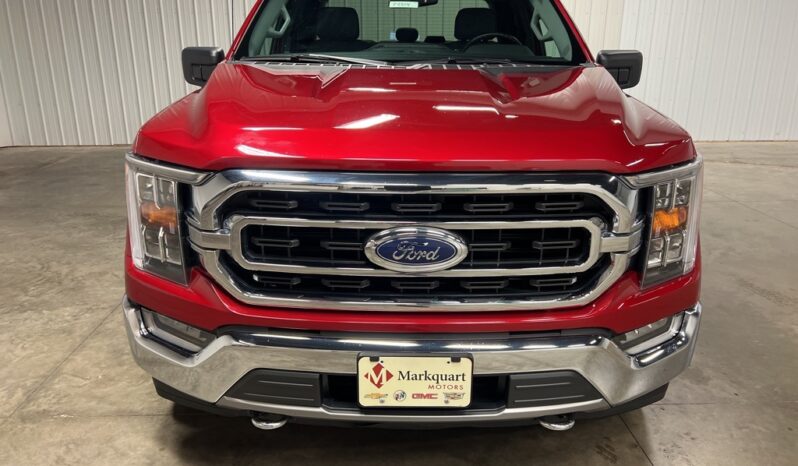 
 Ford F-150 full									