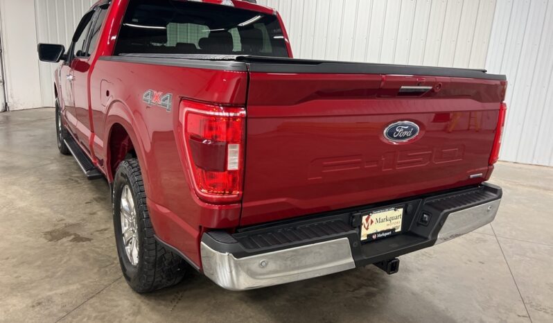 
 Ford F-150 full									