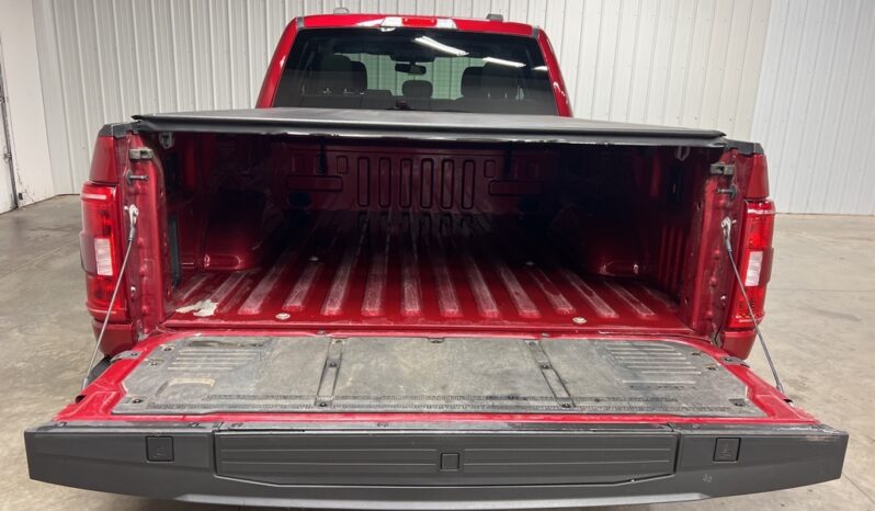 
 Ford F-150 full									