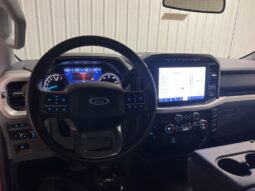 
 Ford F-150 full									