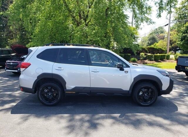 
 Subaru Forester full									