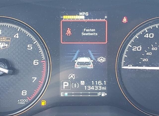 
 Subaru Forester full									