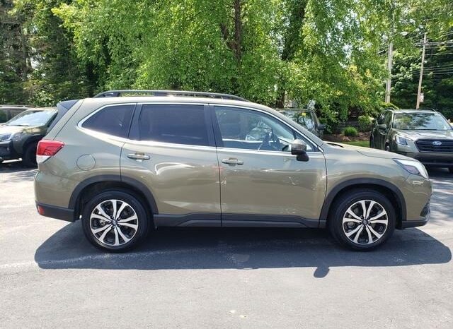 
 Subaru Forester full									