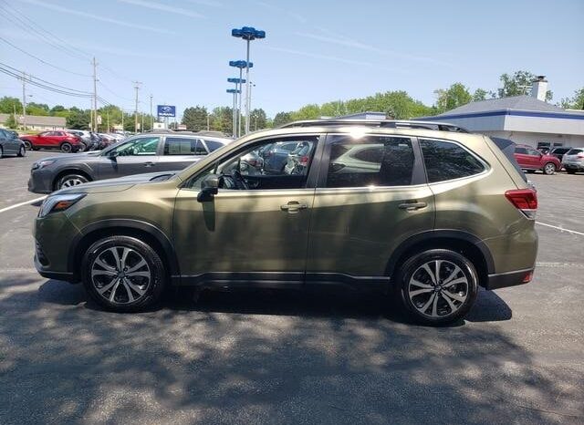 
 Subaru Forester full									