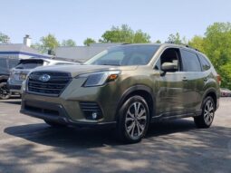 
 Subaru Forester full									