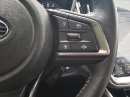 
 Subaru Outback full									