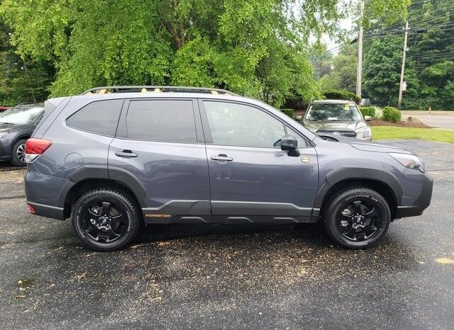 
 Subaru Forester full									