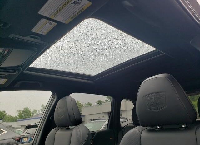 
 Subaru Forester full									