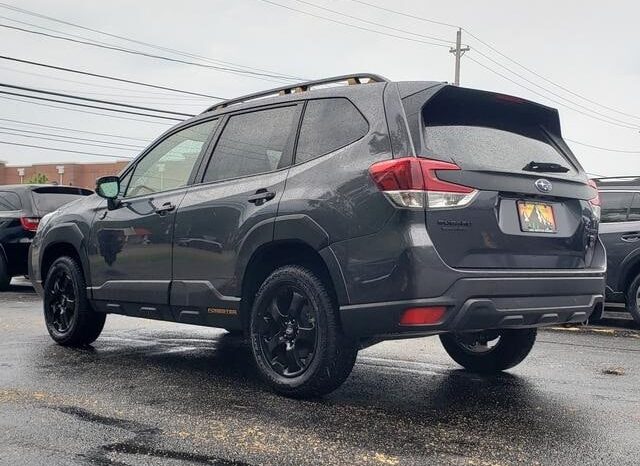 
 Subaru Forester full									