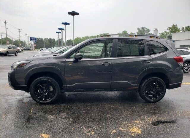 
 Subaru Forester full									