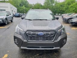 
 Subaru Forester full									