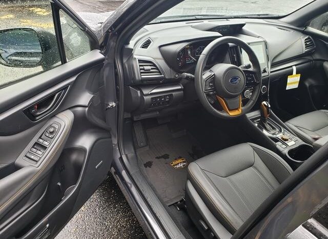 
 Subaru Forester full									