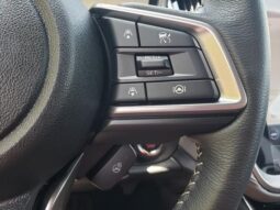 
 Subaru Outback full									