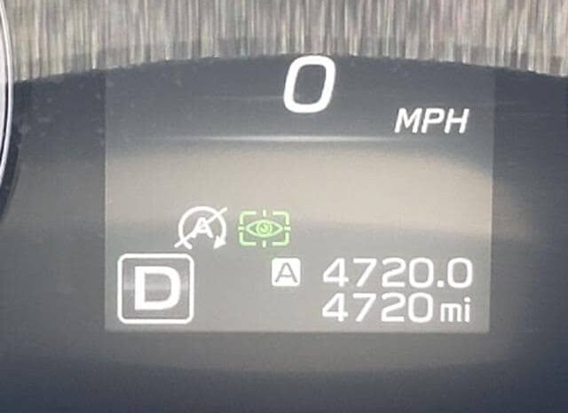 
 Subaru Outback full									