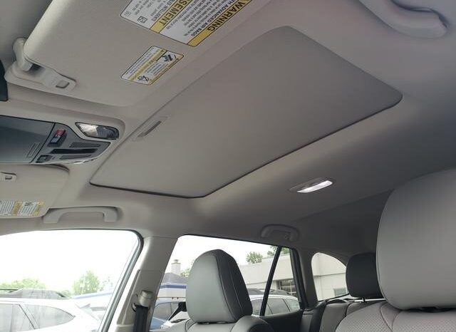 
 Subaru Outback full									