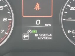 Subaru Outback full
