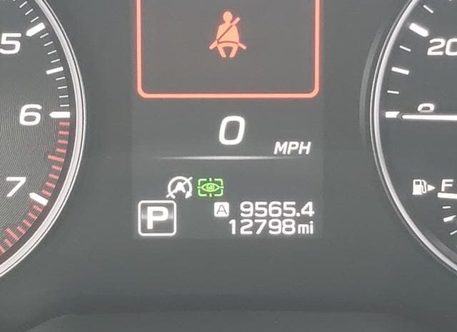 
 Subaru Outback full									