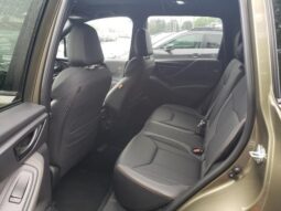
 Subaru Forester full									