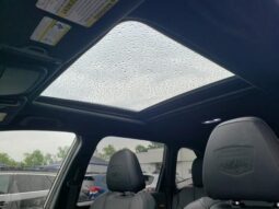 
 Subaru Forester full									
