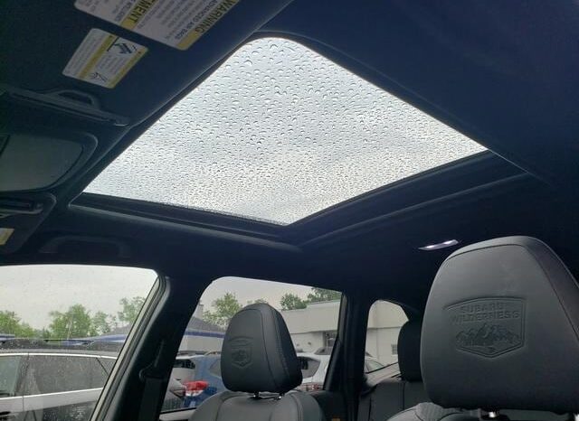 
 Subaru Forester full									